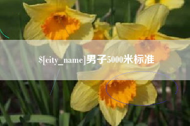 山南男子5000米标准