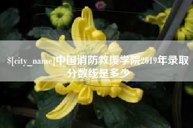山南中国消防救援学院2019年录取分数线是多少