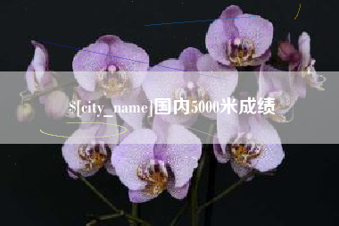 山南国内5000米成绩