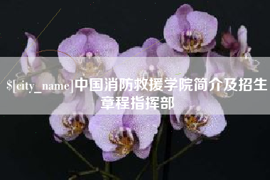 山南中国消防救援学院简介及招生章程指挥部