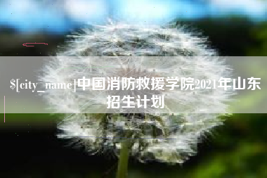 山南中国消防救援学院2021年山东招生计划