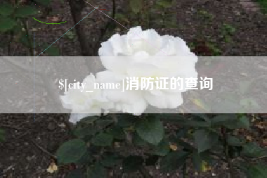 山南消防证的查询