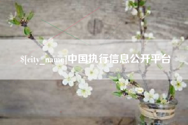 山南中国执行信息公开平台