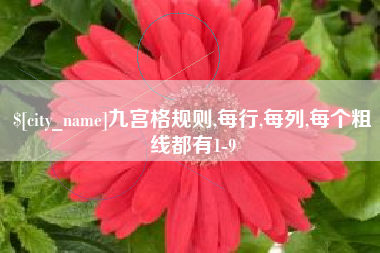 山南九宫格规则,每行,每列,每个粗线都有1-9