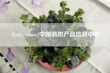 山南中国消防产品信息中心