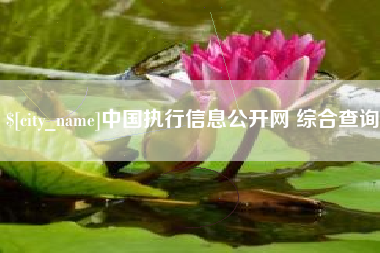 山南中国执行信息公开网 综合查询