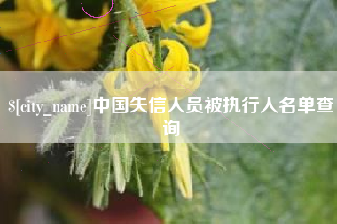 山南中国失信人员被执行人名单查询