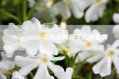 山南中国金牌得了几枚金牌