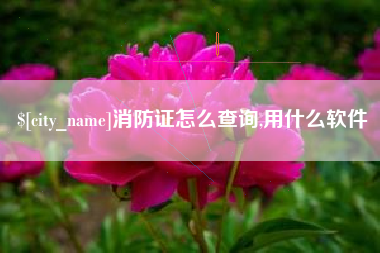 山南消防证怎么查询,用什么软件