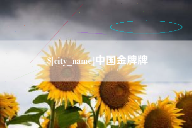 山南中国金牌牌