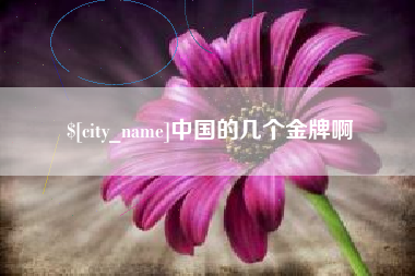 山南中国的几个金牌啊