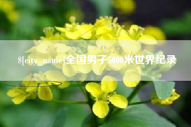 山南全国男子5000米世界纪录