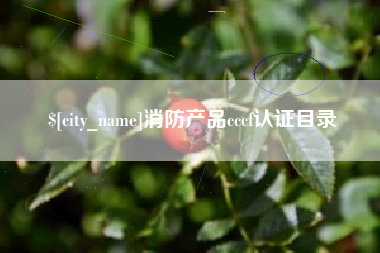 山南消防产品cccf认证目录
