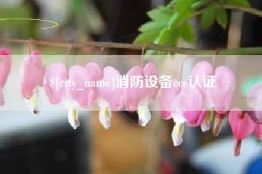 山南消防设备ccc认证