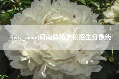 山南河南消防学校招生分数线