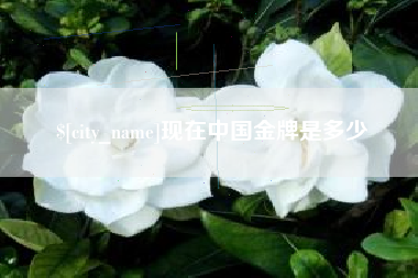 山南现在中国金牌是多少