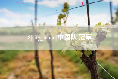 山南中国队 冠军