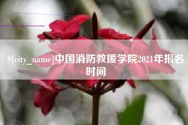 山南中国消防救援学院2021年报名时间