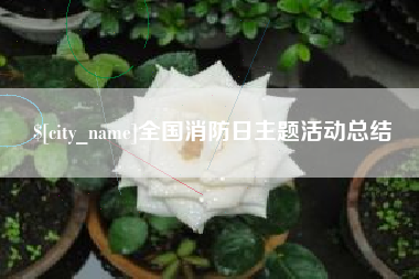 山南全国消防日主题活动总结