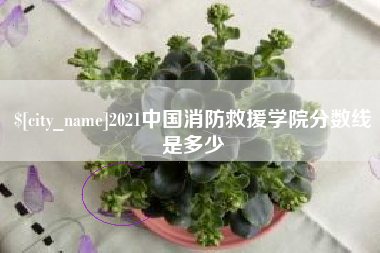 山南2021中国消防救援学院分数线是多少