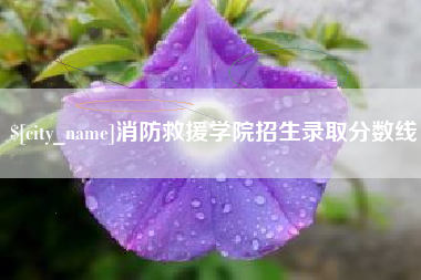 山南消防救援学院招生录取分数线