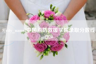 山南中国消防救援学院录取分数线2020