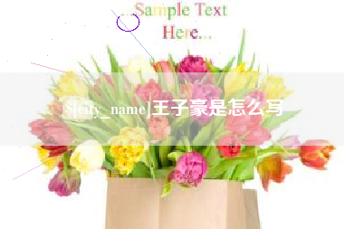 山南王子豪是怎么写