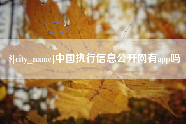 山南中国执行信息公开网有app吗