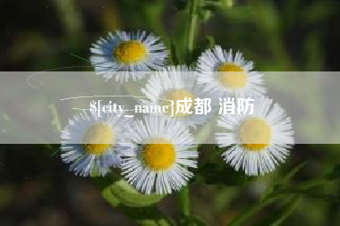 山南成都 消防
