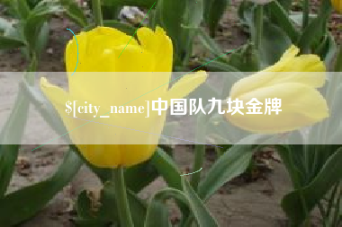 山南中国队九块金牌