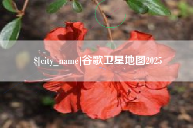 山南谷歌卫星地图2025