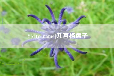 山南九宫格盘子