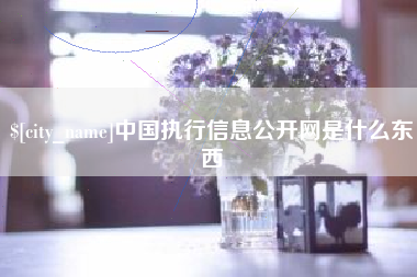 山南中国执行信息公开网是什么东西