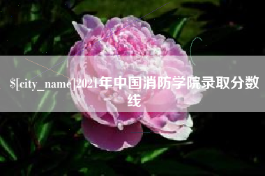 山南2021年中国消防学院录取分数线