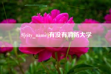 山南有没有消防大学