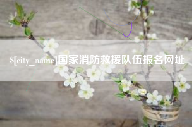 山南国家消防救援队伍报名网址