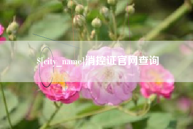 山南消控证官网查询