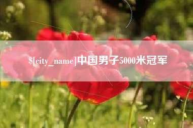 山南中国男子5000米冠军