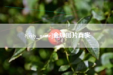 山南金牌图片真实