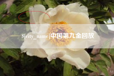 山南中国第九金回放