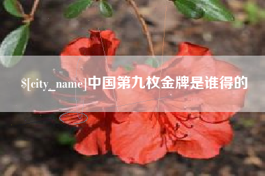 山南中国第九枚金牌是谁得的