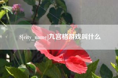 山南九宫格游戏叫什么
