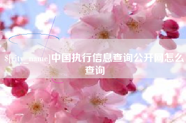 山南中国执行信息查询公开网怎么查询