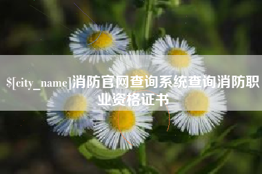 山南消防官网查询系统查询消防职业资格证书