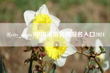 山南中国消防官网报名入口2024
