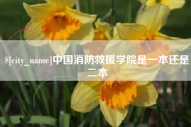 山南中国消防救援学院是一本还是二本