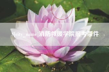 山南消防救援学院报考条件