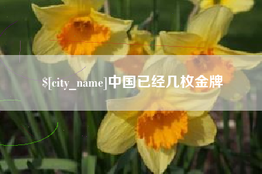 山南中国已经几枚金牌