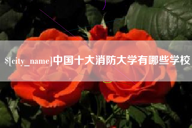 山南中国十大消防大学有哪些学校