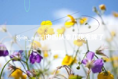 山南中国队拿几块金牌了